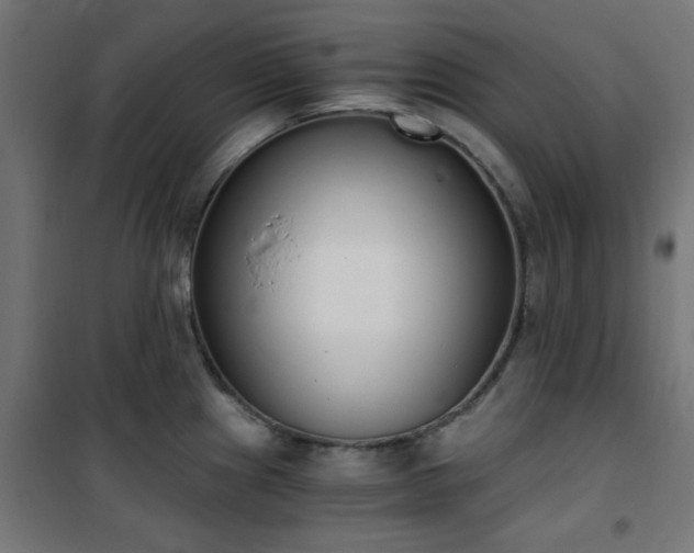 X0000101461241200807071423