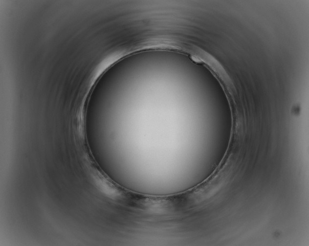 X0000101461242200807071423