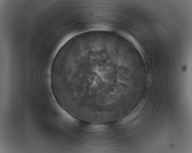 X0000101461243200807071423