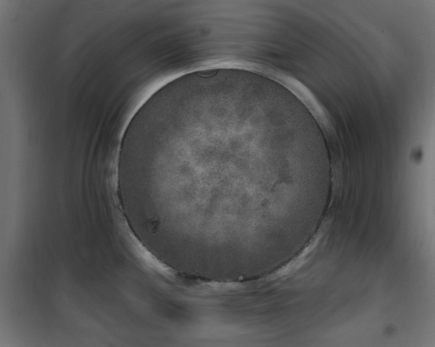 X0000101461244200807071423