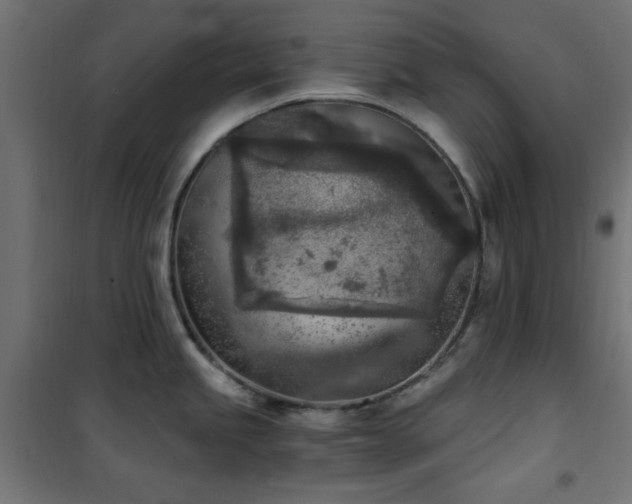 X0000101461245200807071423