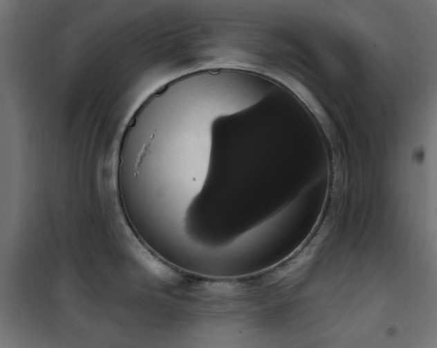 X0000101461246200807071423