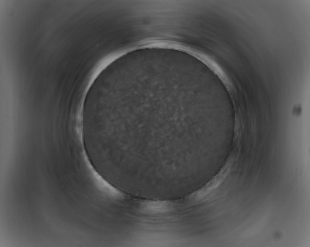 X0000101461247200807071423