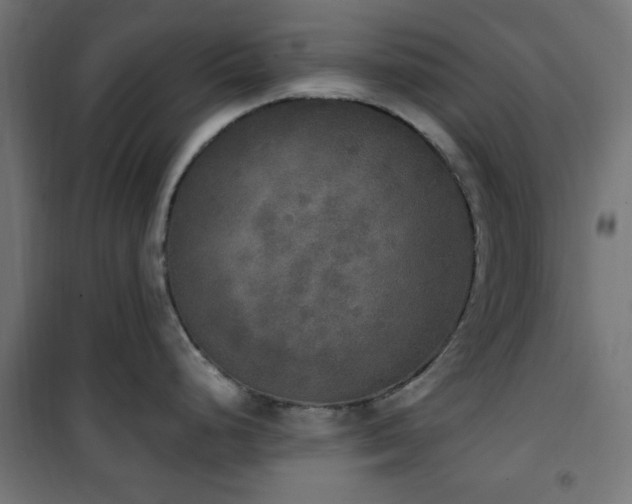 X0000101461248200807071423