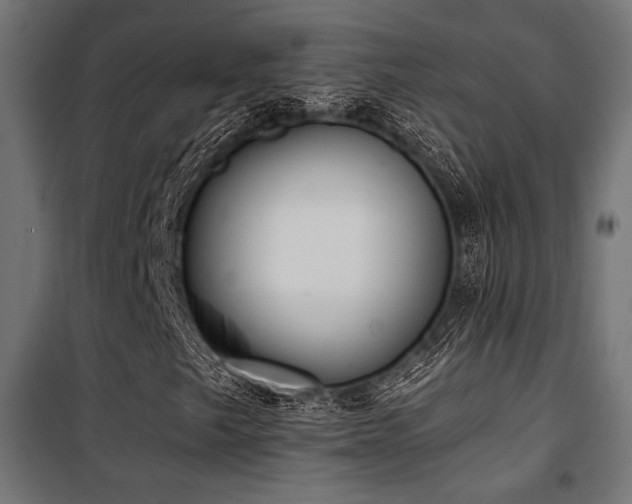 X0000101461249200807071422