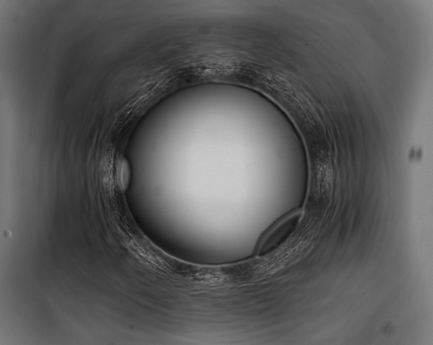 X0000101461250200807071422