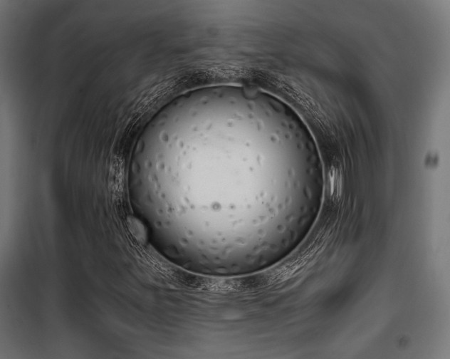 X0000101461251200807071422