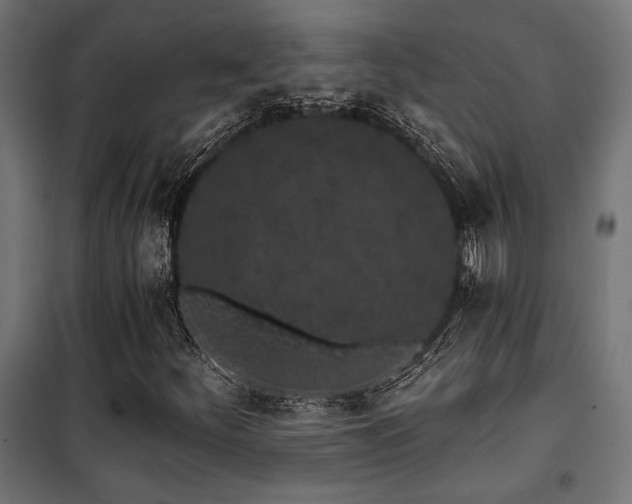 X0000101461252200807071422