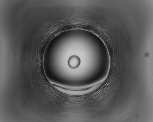 X0000101461253200807071422
