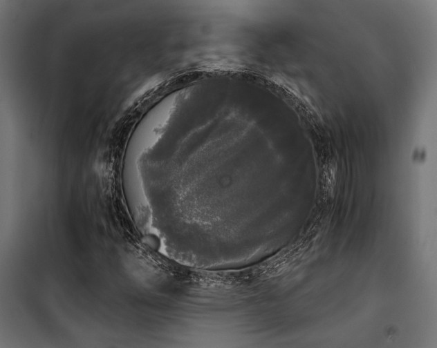 X0000101461254200807071422