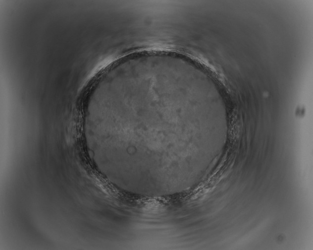 X0000101461255200807071422