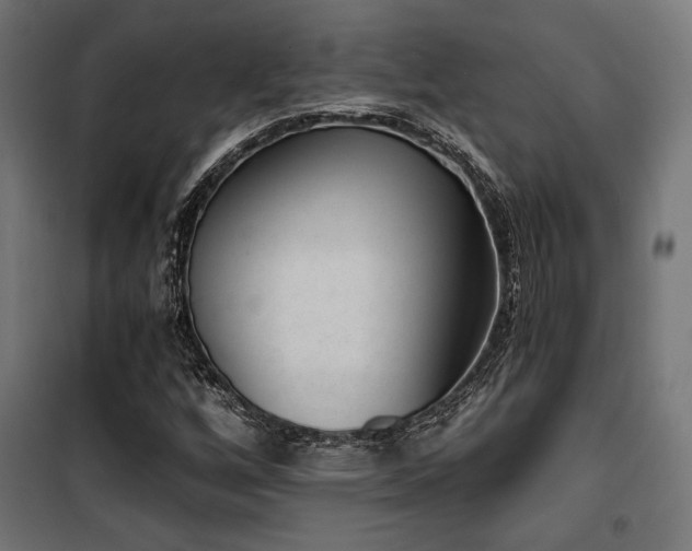 X0000101461256200807071422