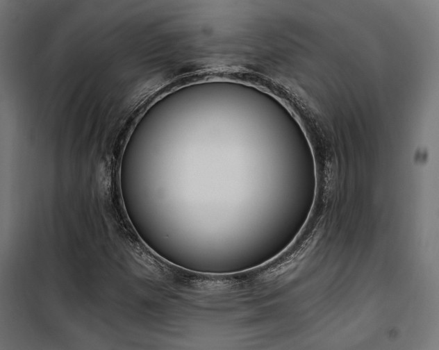 X0000101461257200807071422