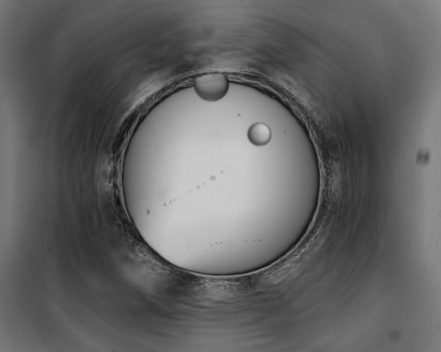 X0000101461258200807071422
