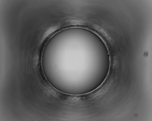 X0000101461261200807071422