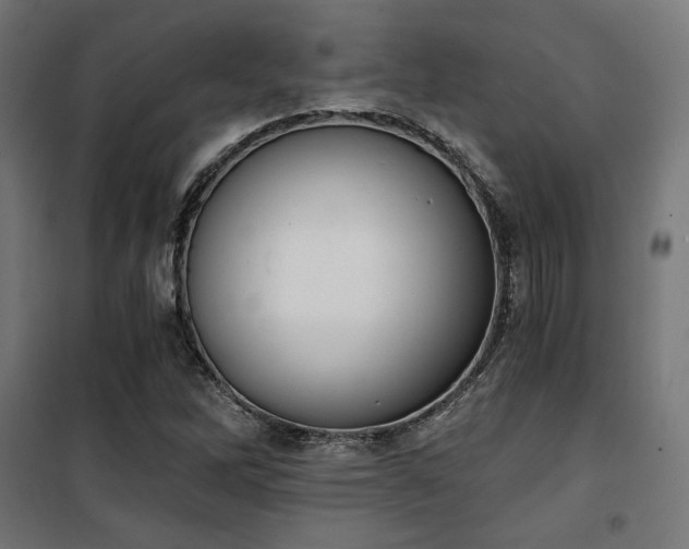 X0000101461262200807071422