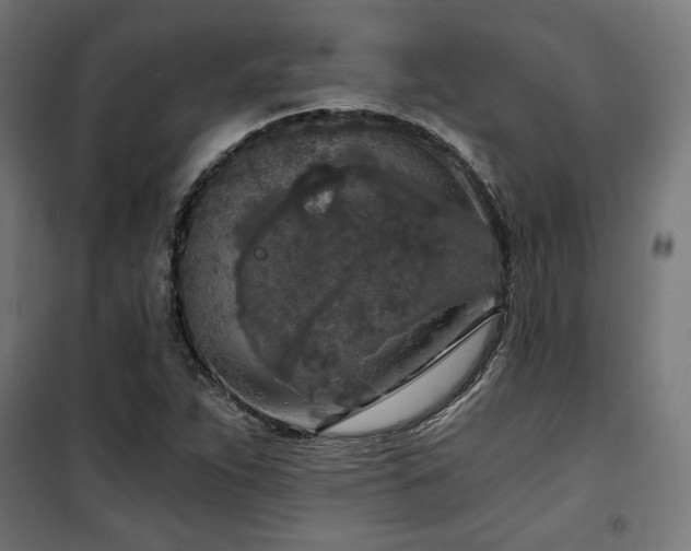 X0000101461263200807071422