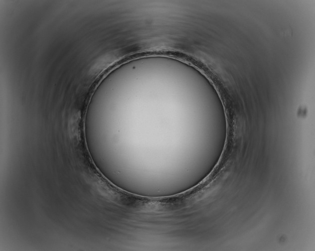 X0000101461265200807071422