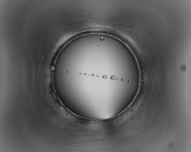 X0000101461267200807071422