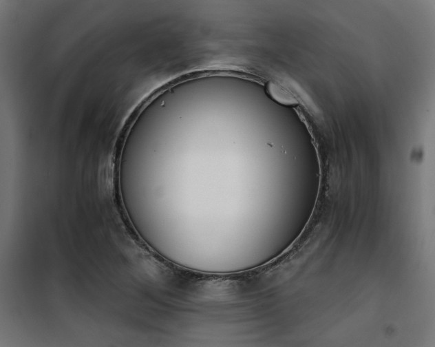X0000101461268200807071422