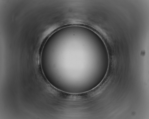 X0000101461269200807071421