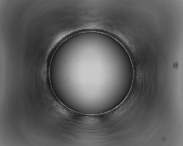 X0000101461270200807071421