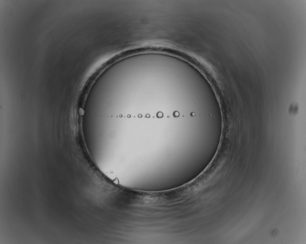 X0000101461271200807071421