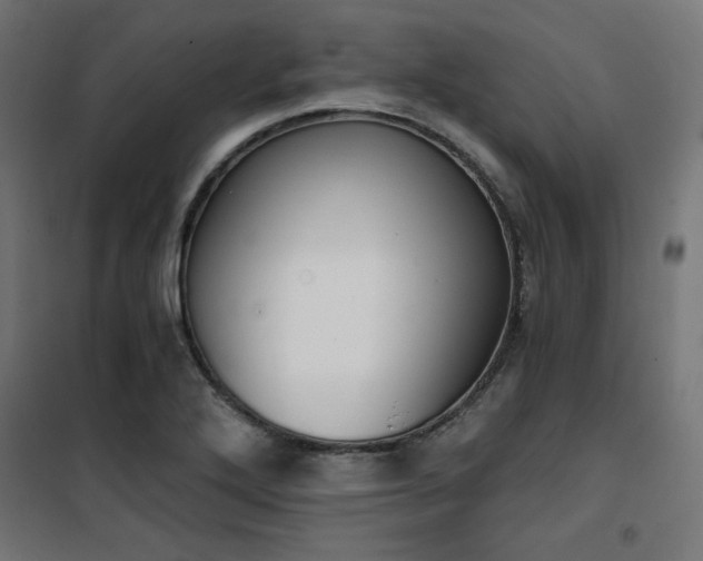 X0000101461272200807071421