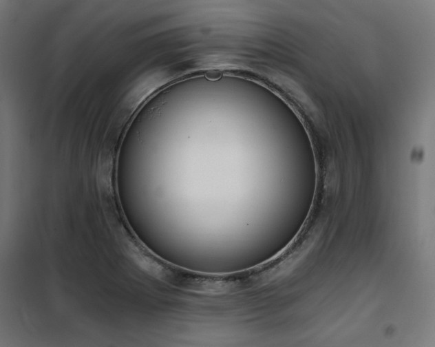 X0000101461273200807071421