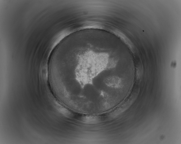 X0000101461274200807071421