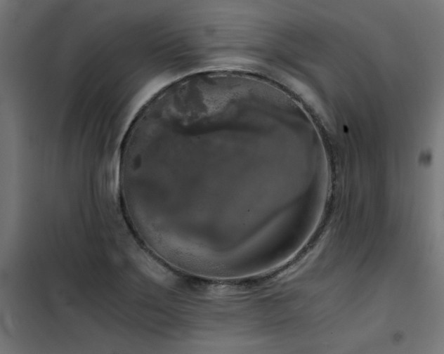 X0000101461275200807071421