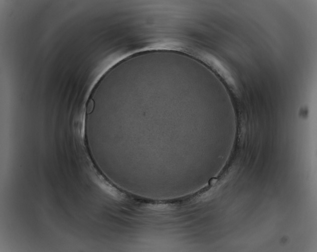 X0000101461276200807071421