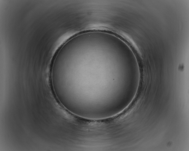 X0000101461277200807071421
