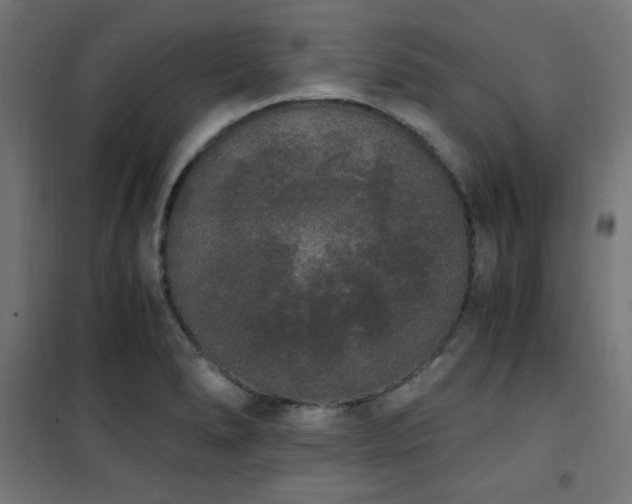X0000101461278200807071421