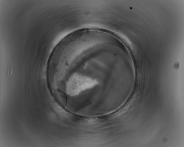 X0000101461279200807071421