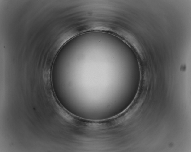 X0000101461281200807071421