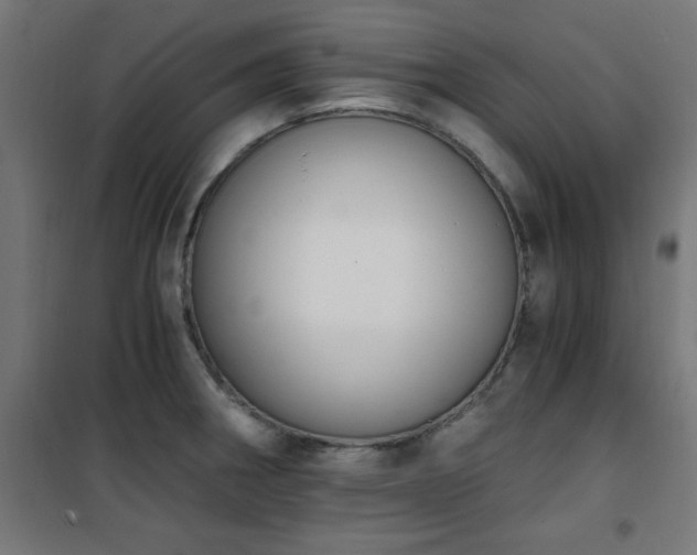 X0000101461282200807071421