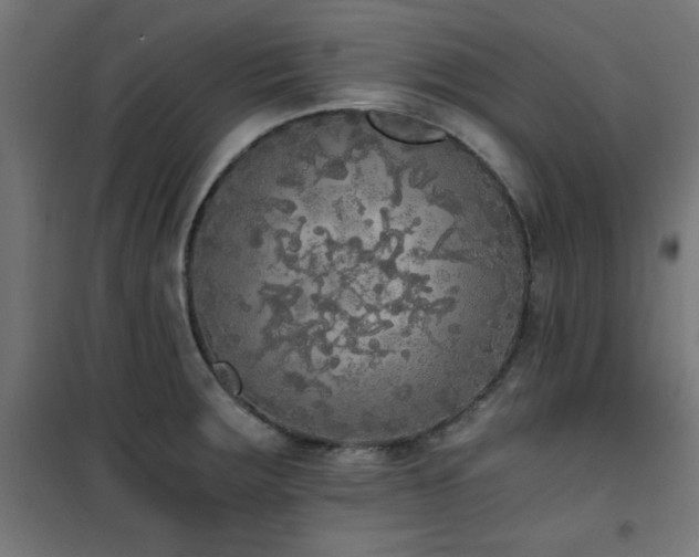 X0000101461283200807071421