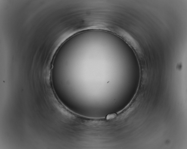 X0000101461284200807071421
