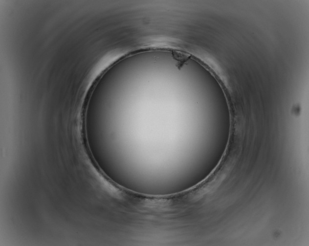 X0000101461285200807071421