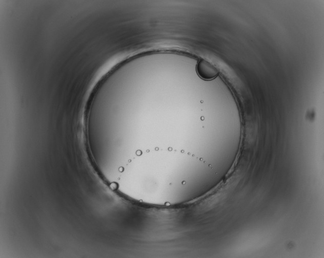 X0000101461286200807071421