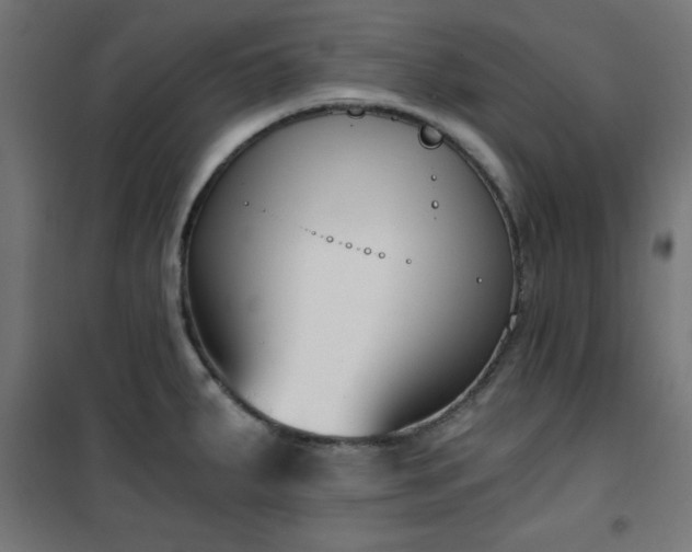 X0000101461287200807071421