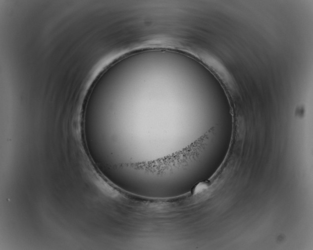 X0000101461288200807071421