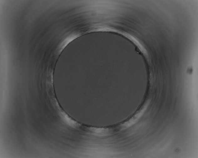 X0000101461289200807071421