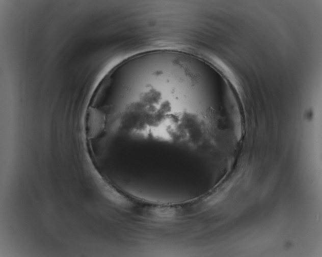 X0000101461291200807071421