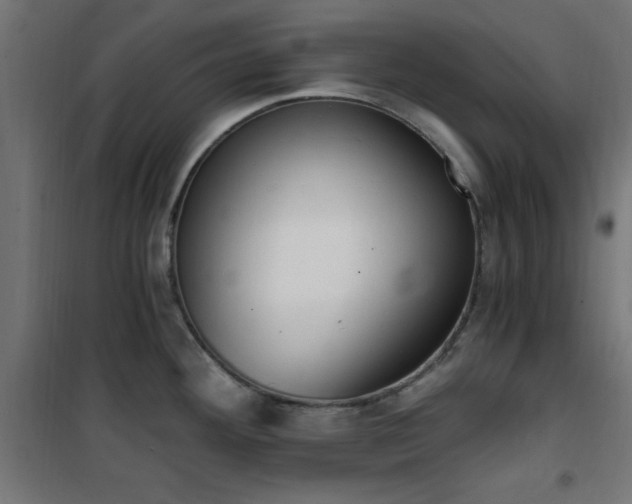 X0000101461292200807071421