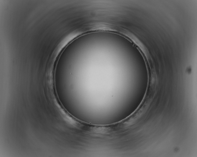 X0000101461293200807071421