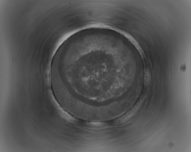 X0000101461295200807071421