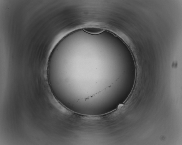 X0000101461296200807071421
