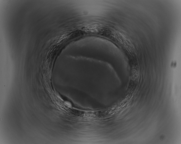 X0000101461297200807071420